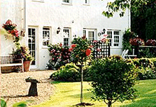 Dove Cottage rear garden